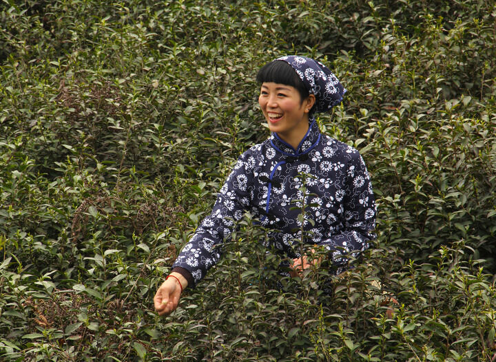双碟秀直播 地下丝绒